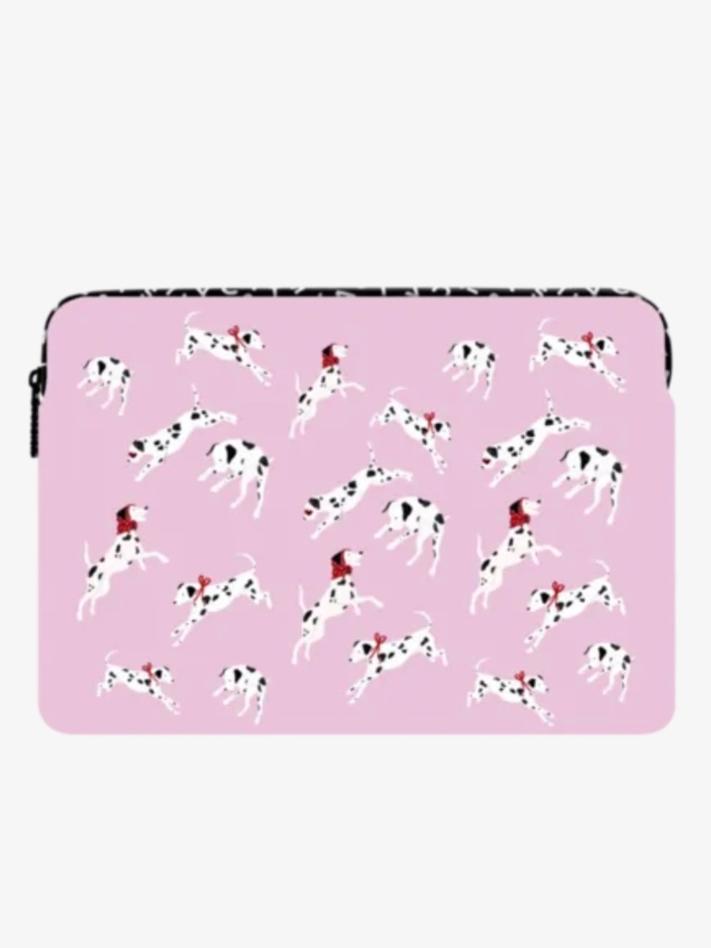 Dalmatian Pack - Large 16"